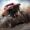 Trucks Off Road مهكرة