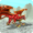 Dragon Sim Online مهكرة