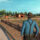 Ranch Animal Farming Simulator مهكرة