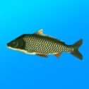 True Fishing مهكرة
