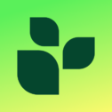 تحميل تطبيق Lifesum مهكر