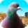 لعبة Pigeon مهكرة