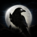 NIGHT CROWS مهكرة