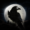 NIGHT CROWS مهكرة