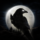 NIGHT CROWS مهكرة