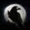 NIGHT CROWS مهكرة