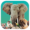 Ark Nova مهكرة