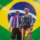 لعبة Rio Rise مهكرة