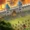 throne kingdom at war مهكرة اخر اصدار